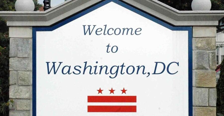 From NYC: Guided Day Trip to Washington DC by Van or Bus - Guides, group size, and the pace of the day