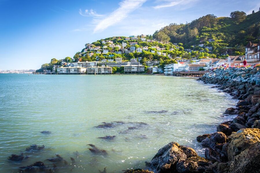 From San Francisco: Guided Muir Woods Excursion - Sausalito in a 45-minute window