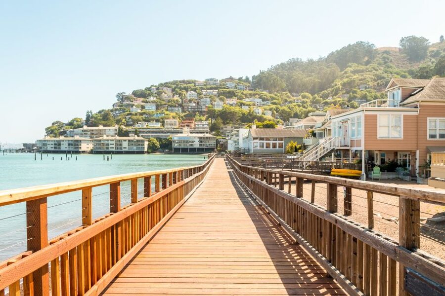 From San Francisco: Guided Muir Woods Excursion - Is $84 good value?