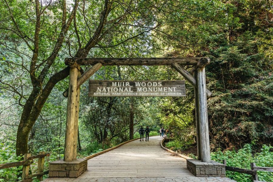 From San Francisco: Guided Muir Woods Tour - Key points at a glance