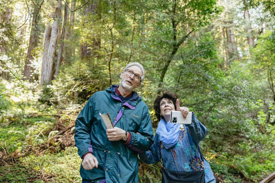 From San Francisco: Guided Muir Woods Tour - Who should book this Muir Woods outing