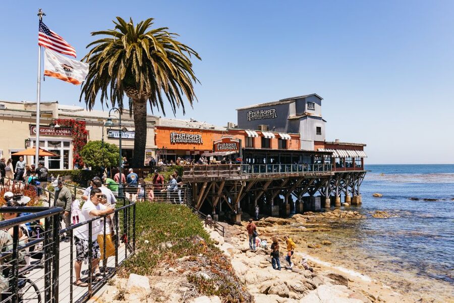 From San Francisco: Monterey and Carmel Day Tour - Why this coast works best as a full-day outing