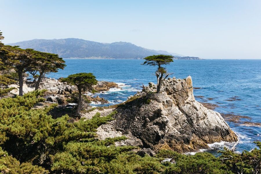 From San Francisco: Monterey and Carmel Day Tour - Highway 1, Pigeon Point, and Davenport