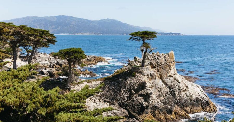 From San Francisco: Monterey and Carmel Day Tour - The 17-Mile Drive and Pebble Beach
