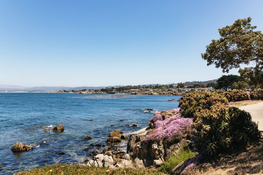 From San Francisco: Monterey and Carmel Day Tour - Coach comfort and the practical details