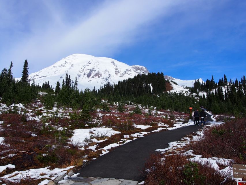 From Seattle: Mount Rainier National Park Guided Tour - Key points to know before booking