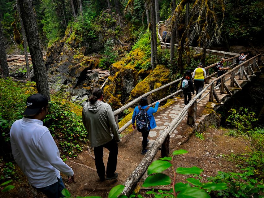 From Seattle: Mount Rainier National Park Guided Tour - The early Seattle departure and ride toward the park