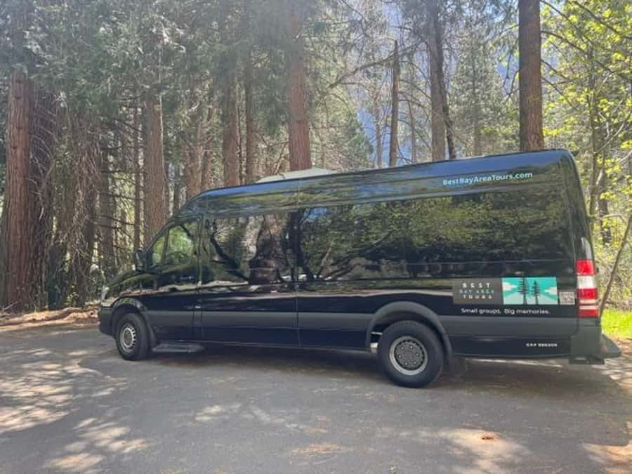 From SF: Yosemite Day Trip with Giant Sequoias Hike & Pickup - El Capitan is more than a photo stop