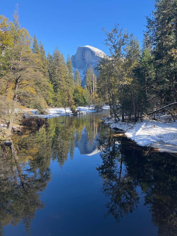 From SF: Yosemite Day Trip with Giant Sequoias Hike & Pickup - Tuolumne Grove brings the oldest trees into the day