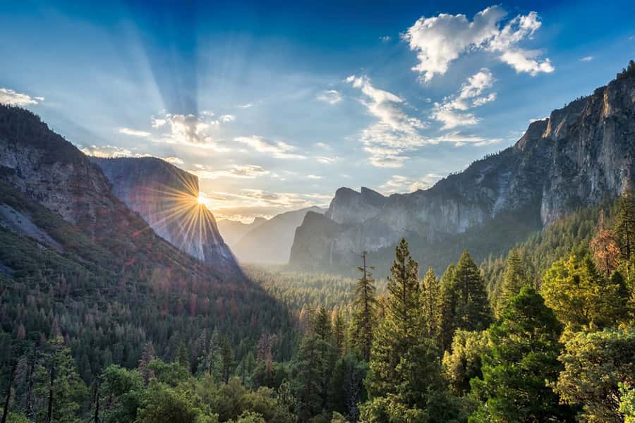 From SF: Yosemite Day Trip with Giant Sequoias Hike & Pickup - What $239 buys you, and what it does not