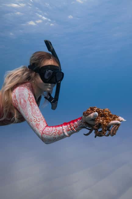 From Waikiki: Turtle Canyon Snorkeling Tour - Who should book this Turtle Canyon trip