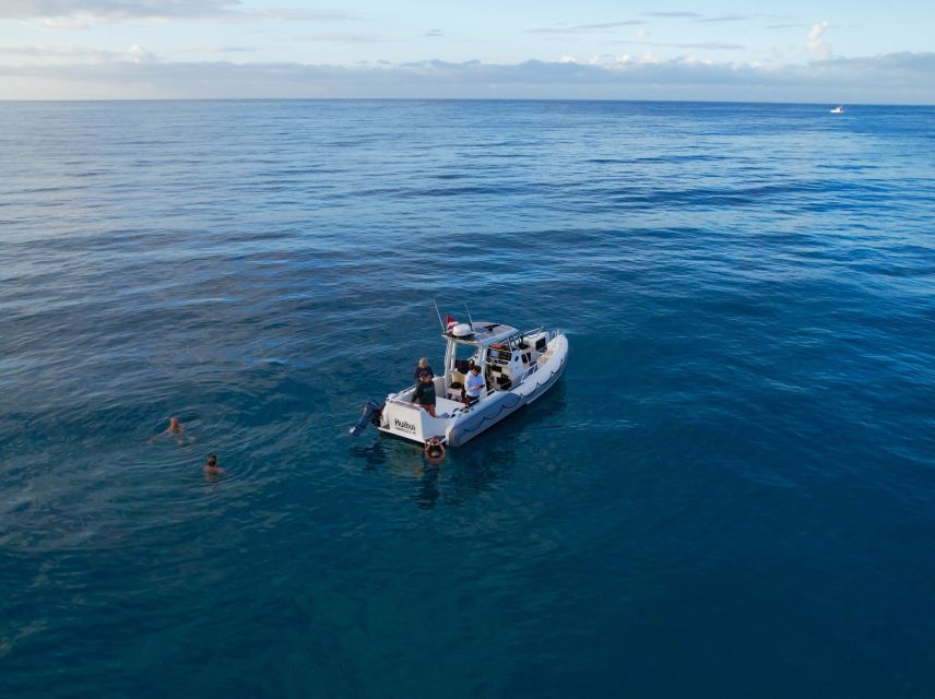 From Waikiki: Turtle Canyon Snorkeling Tour - Booking flexibility and practical limits