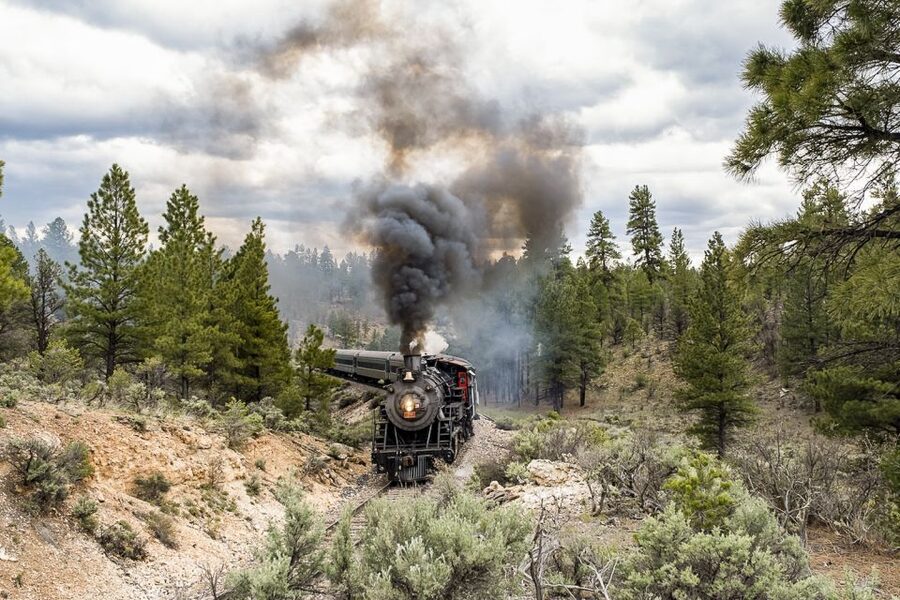 From Williams: Grand Canyon Railway Round-Trip Train Ticket - Who will enjoy this railway day?