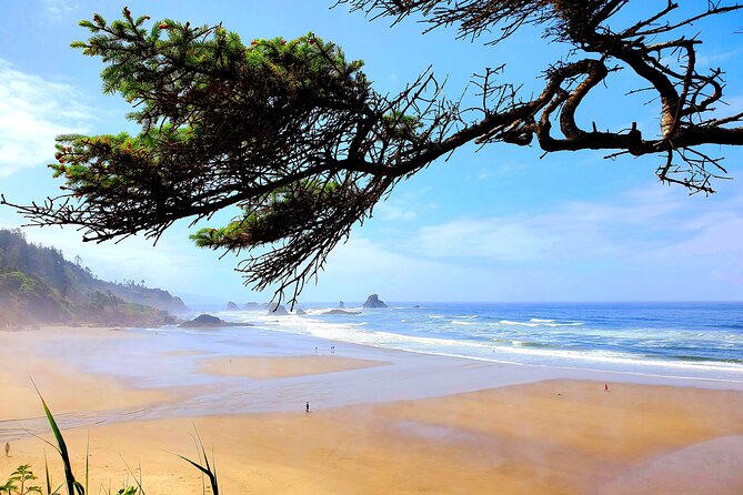 Full-Day Guided Oregon Coast Tour from Portland - Cannon Beach gives you an hour to eat and wander