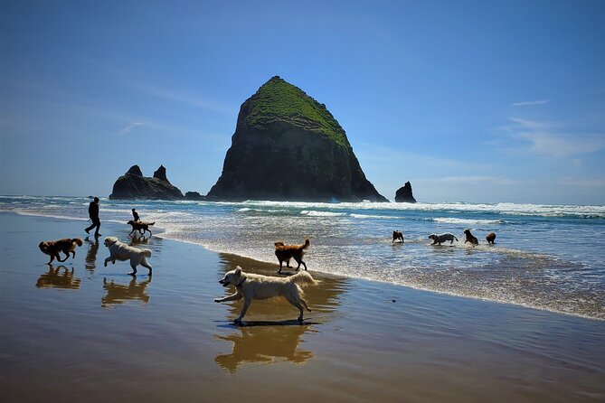 Full-Day Guided Oregon Coast Tour from Portland - Neahkahnie Mountain can finish the day on a high note