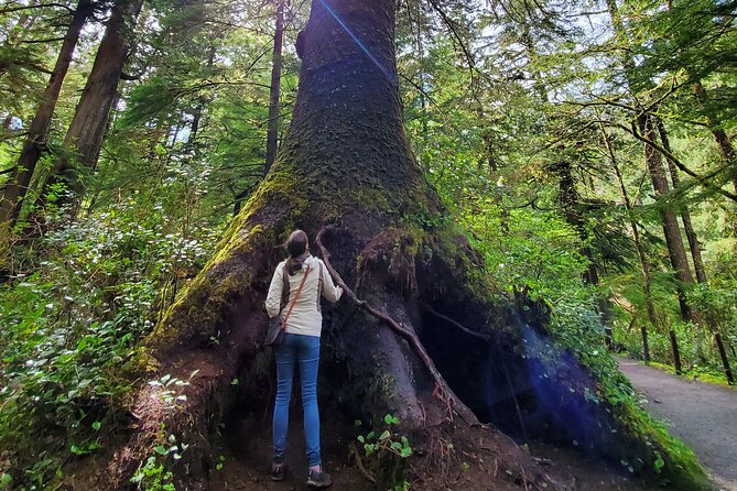 Full-Day Guided Oregon Coast Tour from Portland - Weather, walking, and what to bring