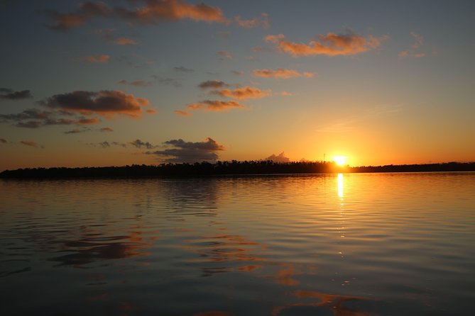 Full-Day Kayak Adventure in the Everglades - The physical effort is real, but manageable for the right person