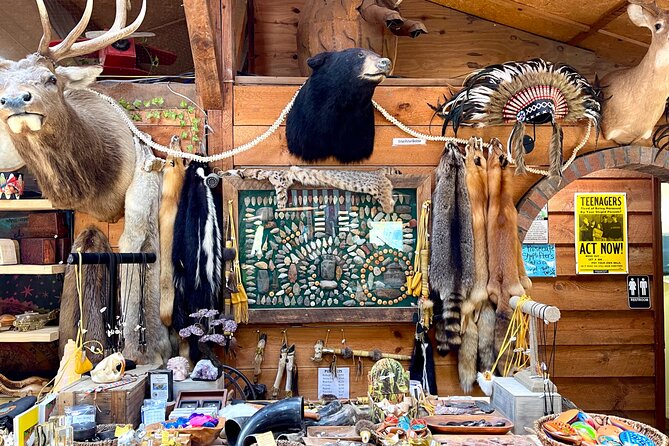 Gem Mining and Goat Farm Walking Tour in Hendersonville - Browsing the crystal and fossil store