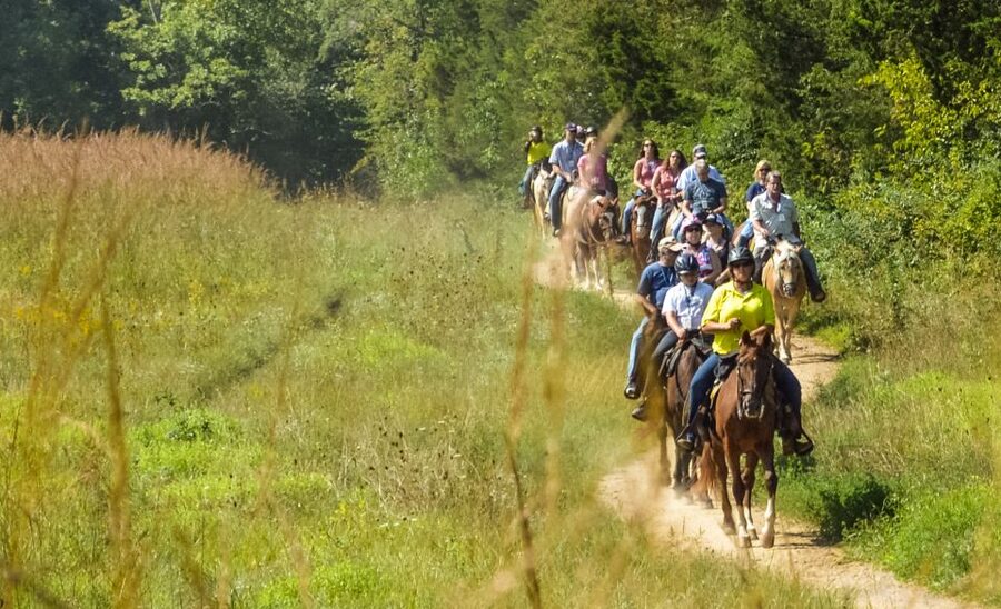 Gettysburg: Licensed Guided Battlefield Horseback Tour - Key points to know before you book