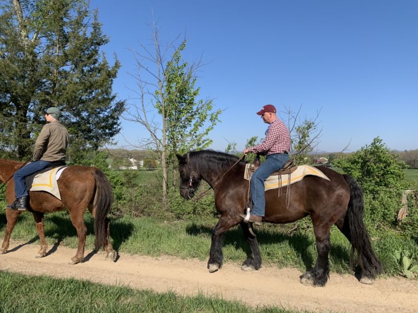 Gettysburg: Licensed Guided Battlefield Horseback Tour - Why horseback changes Gettysburg