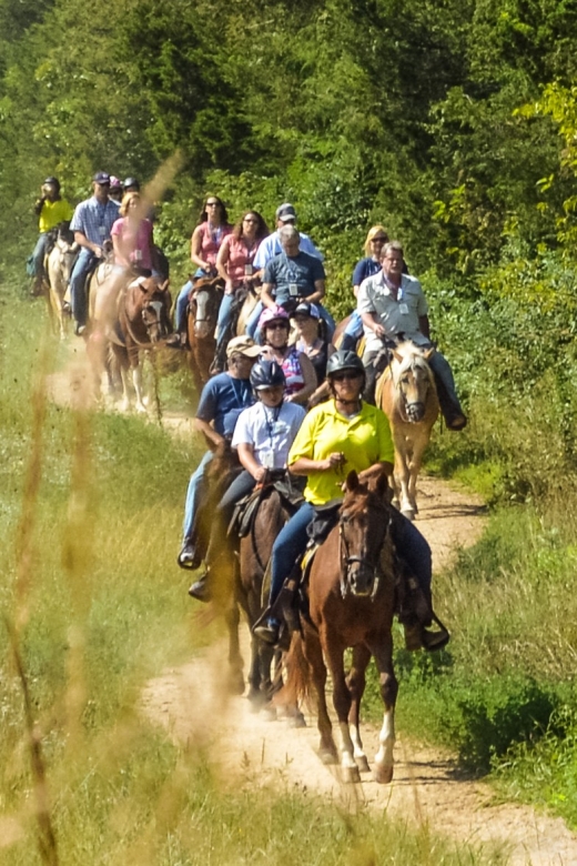 Gettysburg: Licensed Guided Battlefield Horseback Tour - Riding toward the Virginia Monument