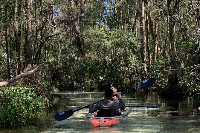 Glass Bottom Kayak Eco Tour through Rainbow Springs - Five things to know before you paddle