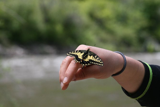 Glenwood Springs Half-Day Rafting Trip - What makes the guides important