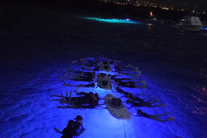 Glow of the Deep: Night Snorkeling with Manta Rays - Key points before you book