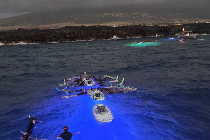 Glow of the Deep: Night Snorkeling with Manta Rays - Safety and animal etiquette