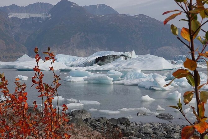 Grand Knik Helicopter Tour - 2 hours 3 landings - ANCHORAGE AREA - Summer versus winter glacier conditions