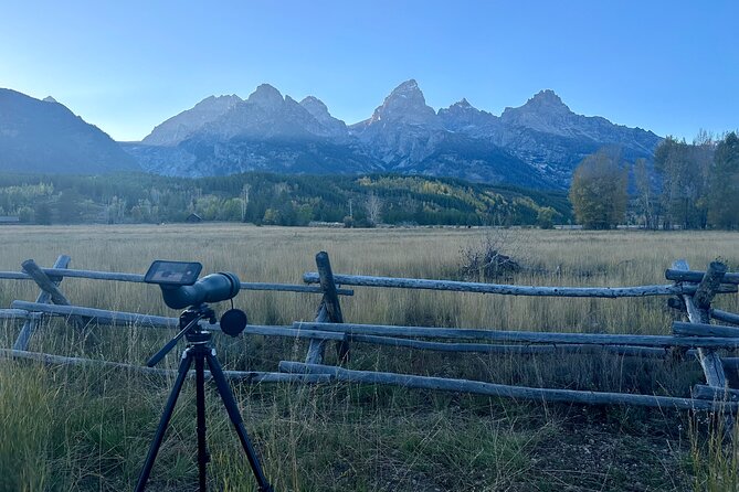 Grand Teton Half Day Tour - Moose Junction and the Gros Ventre River wildlife watch