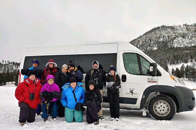 Grand Teton Wildlife Safari in a Enclosed or Open-Air Vehicle (season dependent) - Choosing between the open-air and enclosed vehicle