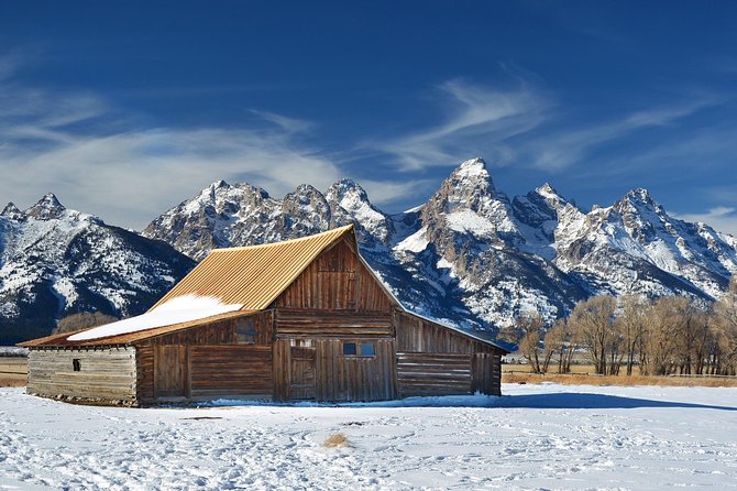 Grand Teton Wildlife Safari in a Enclosed or Open-Air Vehicle (season dependent) - Guide quality makes the biggest difference
