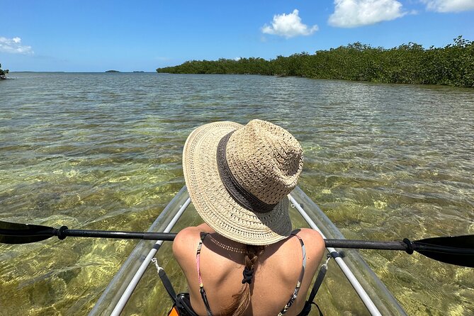Guided Clear Kayak Eco-Tour Near Key West - A clear view into Sugarloaf Key