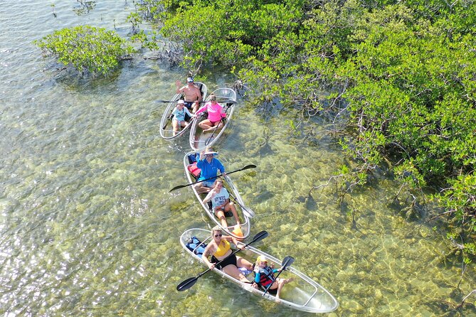 Guided Clear Kayak Eco-Tour Near Key West - Entering the mangrove backcountry