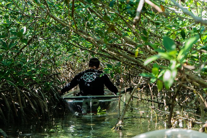 Guided Clear Kayak Eco-Tour Near Key West - Who should book this kayak tour?