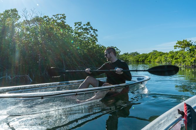Guided Clear Kayak Eco-Tour Near Key West - Should you book the Sugarloaf Key clear kayak tour?