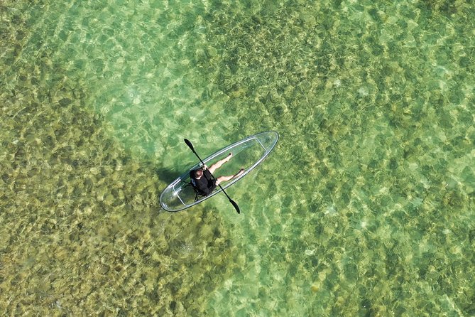 Guided Clear Kayak Eco-Tour Near Key West - Wildlife below the transparent hull