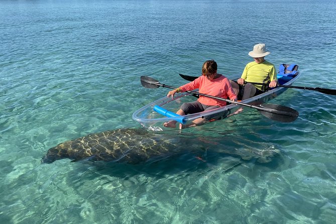 Guided Clear Kayak Eco-Tour of Jupiter - Quick takeaways from the Jupiter clear kayak tour
