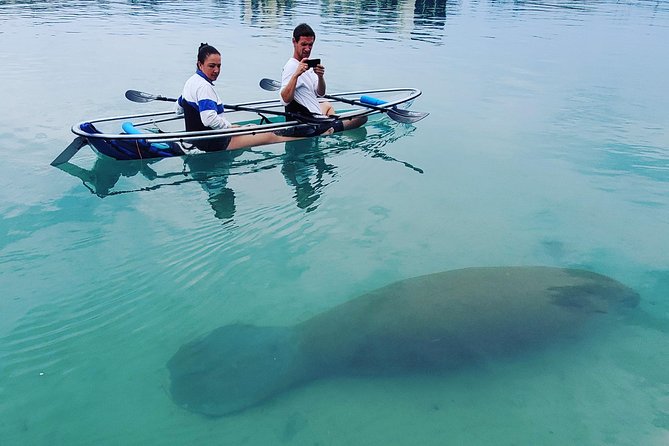 Guided Clear Kayak Eco-Tour of Jupiter - Why the clear kayak makes a difference