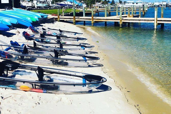 Guided Clear Kayak Eco-Tour of Jupiter - Who will enjoy this most