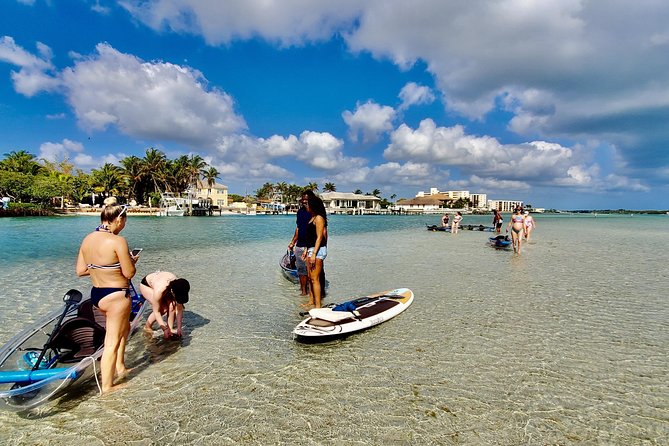 Guided Clear Kayak Eco-Tour of Jupiter - From Jupiter Lighthouse to the mangrove lagoon