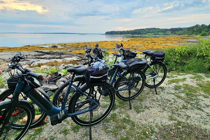 Guided Ebike Tour of Acadia National Park Carriage Roads - Eagle Lake and the road toward Jordan Pond