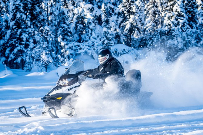 Guided Fairbanks Snowmobile Tour - A short briefing that matters