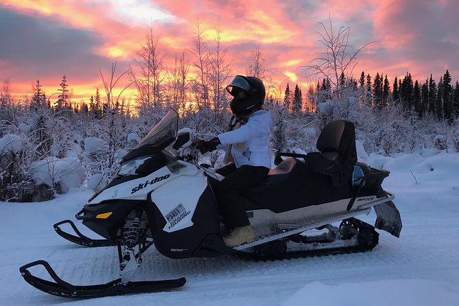 Guided Fairbanks Snowmobile Tour - Trails past the Alaska Pipeline and through the woods