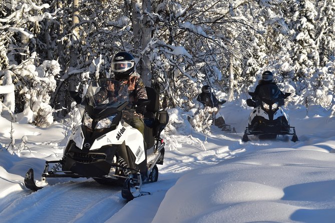 Guided Fairbanks Snowmobile Tour - How the guide handles mixed skill levels