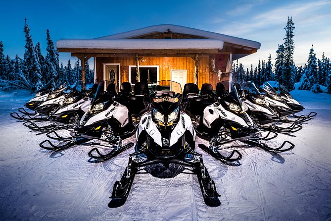Guided Fairbanks Snowmobile Tour - Who will enjoy this most