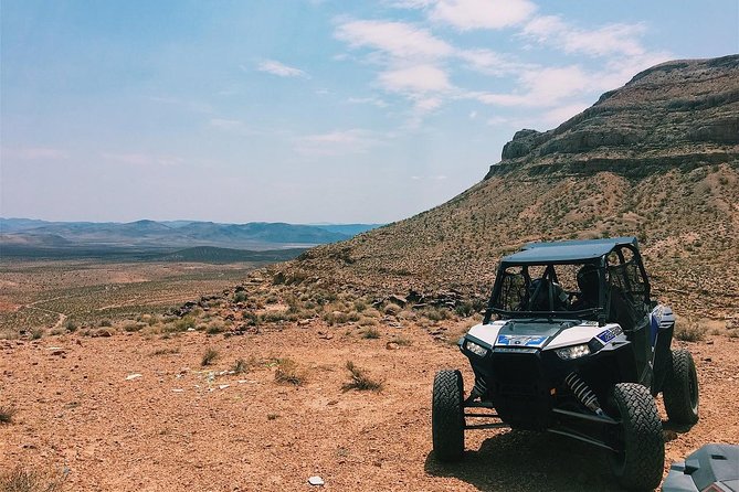 Guided Mojave Desert Off Road RZR Adventure - Two hours through Mojave desert country