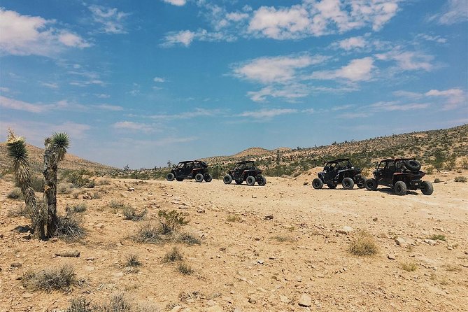Guided Mojave Desert Off Road RZR Adventure - Is the $114.99 price good value?