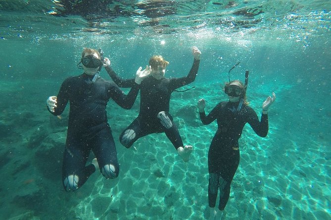 Guided Small Group Manatee Snorkeling Tour with In-Water Photographer - Why Crystal River is such a good place to see manatees